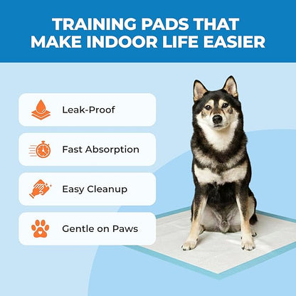 Best Pet Supplies XL (36 x 28 Inches) Puppy Pads 40 Count - Super Absorbent Dog Training Pads, Quick-Dry, Odor Control, Disposable Pee Pads, Leak-Proof Wee Wee Pads for Indoor Dogs – Baby Blue