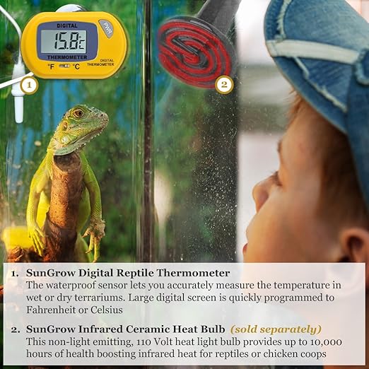 SunGrow Reptile Digital Thermometer Terrarium Temperature Monitor with Suction Cup Mount, Accurate Fahrenheit Celsius Switch, Thermostat Gauge for Bearded Dragon, Snake, Gecko Enclosure Tank