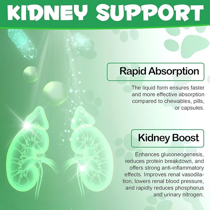 Kidney Support for Cats, Cat Kidney Treatment Support Cat Urinate Regularly, Strengthen Kidney Function,Increase Immunity, Herbal Supplement Supports Healthy Kidney Function- 60ml/2fl.oz