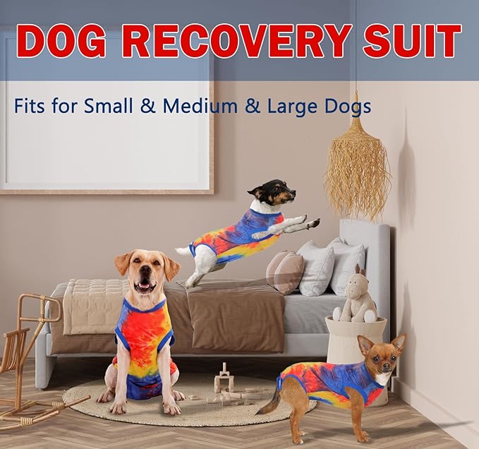 Dog Surgery Recovery Suit - Female Spay & Male Neuter Onesie, Cone Alternative Pet Surgical Shirt (Tie-dye Blue, XS)