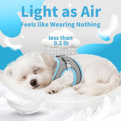 AIITLE Easy Walk Dog Harness and Leash Set - Pet Supply No Pull, Step in Adjustable Dog Harness with Padded Vest, Dog Harness No Choke Over, Easy to Put on Medium Dogs Pure Blue L