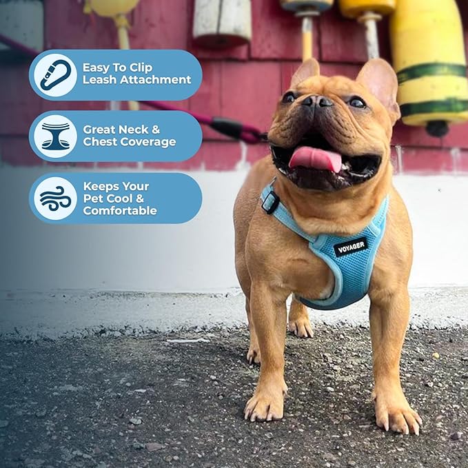 Best Pet Supplies Voyager Adjustable Step-In Flex Breathable Mesh Dog Harness for Small Medium Large Dogs (Baby Blue), L