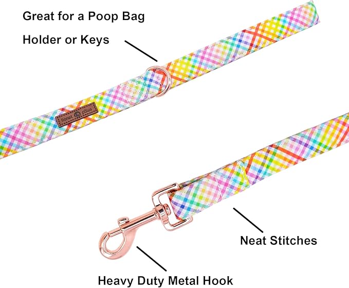 Lionet Paws Dog Leash and Matching Collar for Small, Medium, Large Dogs