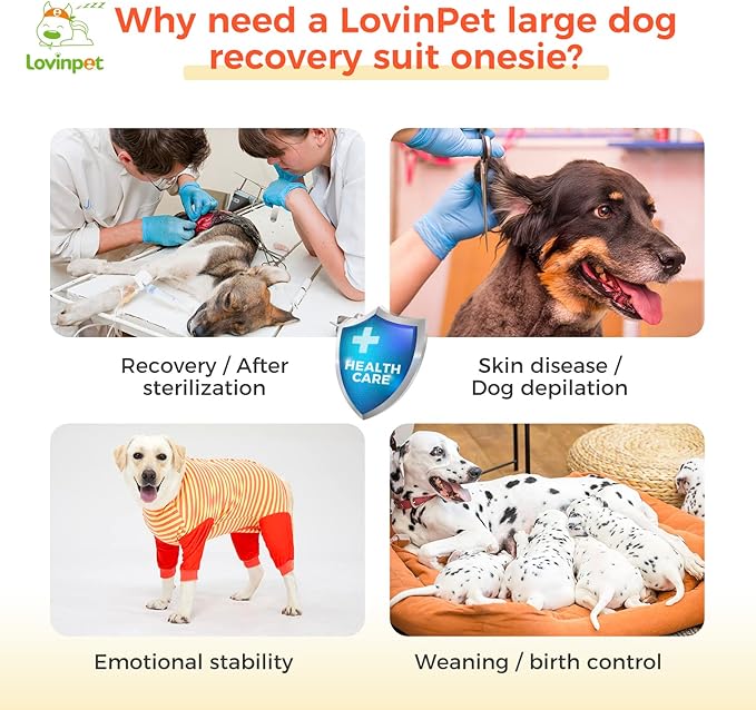 LovinPet Dog Recovery Suit - Medium Large - Full Coverage Large Dog's Bodysuit Wound Protective Surgical Recovery Bodysuit for Abdominal Wounds After Surgery Cut-Out Design of Abdomen,XL