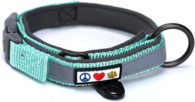 Pawtitas Lumberjack Padded Martingale Collar for Dogs | Soft Neoprene Dog Collar for Your pet's Comfort Made with Reflective Band for Maximum Visibility | Fits Small and Large Pets - Medium Teal