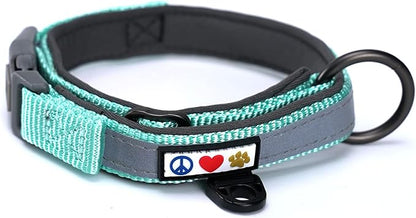 Pawtitas Lumberjack Padded Martingale Collar for Dogs | Soft Neoprene Dog Collar for Your pet's Comfort Made with Reflective Band for Maximum Visibility | Fits Small and Large Pets - Large Teal