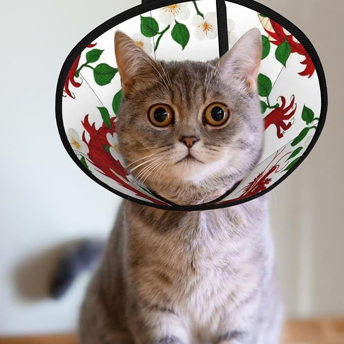 Protective Adjustable Dog Cones Floral Chinese Japanese Dragon Flower, Soft Dogs Recovery Collars for Large Medium Small Dogs Cats, Prevent Licking After Surgery