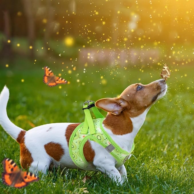 KOOLTAIL Dog Harness and Leash Set for Small Medium Dogs, Step in No Pull Soft Mesh Dog Harness Comfort Padded Pet Vest, Adjustable Reflective Easy Walking Puppy Cats Harness Training, Kiwifruit XS