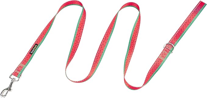 EcoBark Dog Leash - Soft & Reflective Comfort Leashes with Padded Handle - Safe, Strong, & Durable for Small, Medium or Large Dogs (Watermelon)