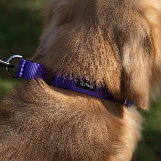 Hyhug Martingale Dog Collar Medium Purple |Escape - Proof Heavy Duty Nylon Durable No Slip, Ideal for Training & Daily Walks