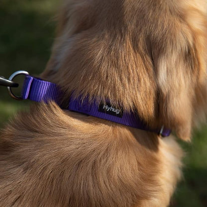 Hyhug Martingale Dog Collar Medium Purple |Escape - Proof Heavy Duty Nylon Durable No Slip, Ideal for Training & Daily Walks