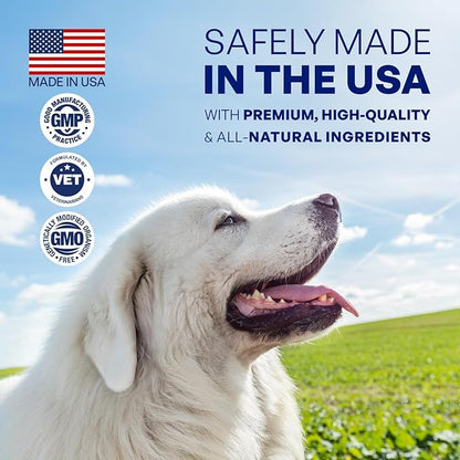 Allergy and Immune Support for Dogs – Itchy Skin Relief with Probiotics, Digestive Aid, Anti-Itch, Dry Skin & Coat Health, Hot Spots and Paw Licking, 60 Chewable Treats