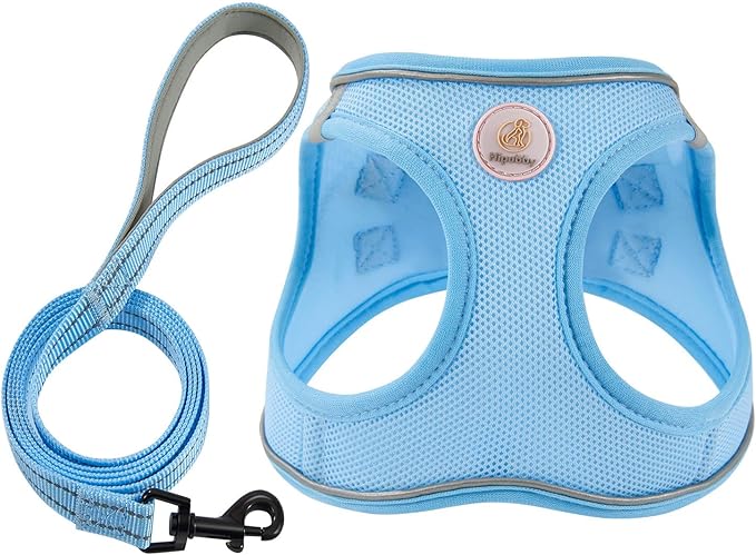 Hipubby Dog Harness and Leash Set, No Pull Soft Mesh Puppy Harness for Small Medium Dogs, Cats - Step in Reflective Breathable Lightweight Vest Harness for Walking, Training - Blue, S