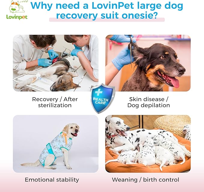 LovinPet After Surgery Onesie for Dogs - Dog Body Suits After Surgery Female & Male Anti-Licking Protection Full Body Coverage for Anti-Shedding