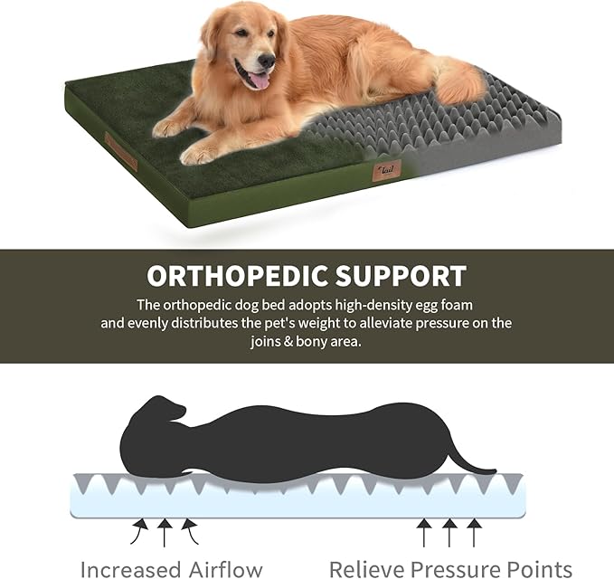 Orthopedic Dog Bed for Large Dogs, Plush Washable Pet Bed for Large Size Dogs with Egg Crate Foam & Removable Oxford Cover, 36x27 Inch, Olive Green