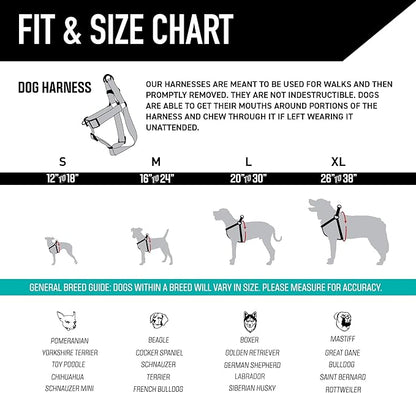Wolfgang Heavy Duty Adjustable Dog Harness, Pull-Tested for Walking & Training, RockyPeaks Print, Large