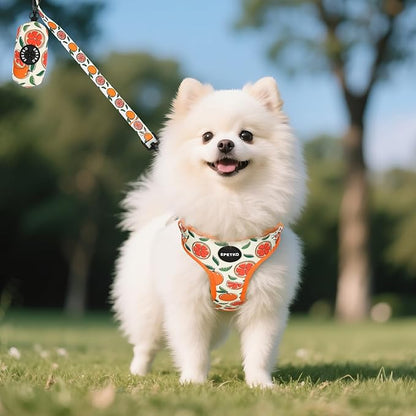 Small Dog Harness and Leash Set of 6, No Pull Soft Lightweight Mesh Puppy Harness， Adjustable Cute Floral Pattern Pet Harness for Small Medium Dogs (Orange, XS)