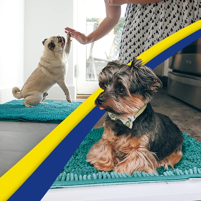 Muddy Mat® | Super Absorbent Door Mat Indoor, Microfiber Quick Dry Chenille Entryway Rug, Non-Slip Front Door Mat, Indoor Mats for Entryway, Machine Washable Pet Rug, Teal 16"x24"
