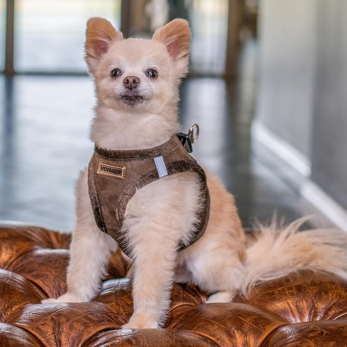 Best Pet Supplies - All Weather Plush, Reflective, No Pull Harness for Small, Medium Dogs, Cats - Secure with Hook & Loop Fastener, Buckle, Double D-Rings - Chocolate Suede, M