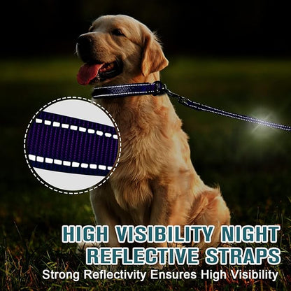 Dog Collar for Medium Small Large Dogs Reflective with Leash,Collar and Leash for Dogs,Soft Neoprene Padded 2 Pack(Purple,M)