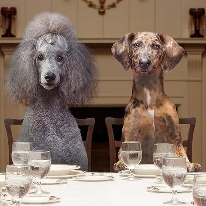 Fromm Weight Management Gold Premium Dry Dog Food - Weight Management Dog Food for Medium & Small Breeds - Turkey Recipe - 15 lb