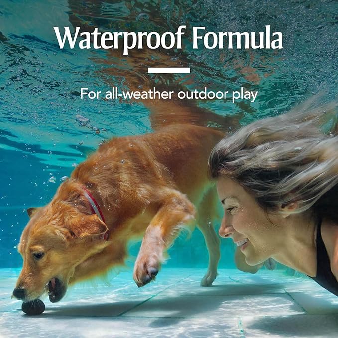 PetArmor for Dogs, Flea and Tick Treatment for Medium Dogs (23-44 Pounds), Includes 6 Month Supply of Topical Flea Treatments