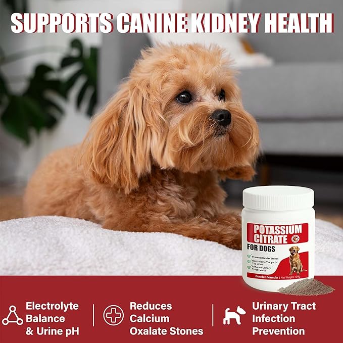 Potassium Citrate & Cranberry Supplement for Dogs & Cats - UTI Treatment & Bladder Support Powder, pH Balance, Urinary Tract & Stone Prevention