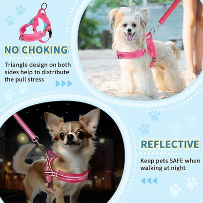 Lukovee No Pull Dog Harness and Leash Set, Soft Padded Small Dog Harness, Neck & Chest Adjustable Reflective Vest Puppy Harness with 4ft Lightweight Anti-Twist Dog Leash for Small Dogs (XS, Pink)