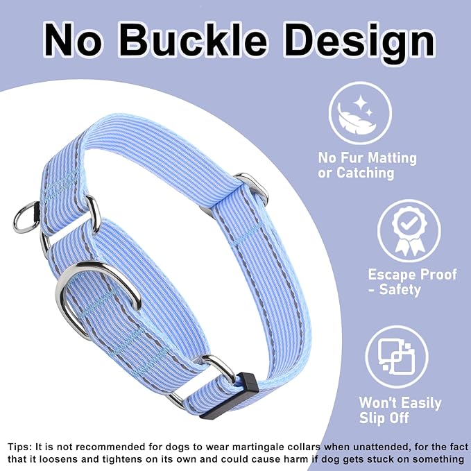 Reflective Martingale Collar for Dogs Nylon Training Collar with No Buckle, No Pull Escape Proof Dog Collar for Small Dogs（Blue Stripe，S）
