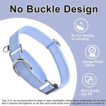 Reflective Martingale Collar for Dogs Nylon Training Collar with No Buckle, No Pull Escape Proof Dog Collar for Small Dogs（Blue Stripe，S）