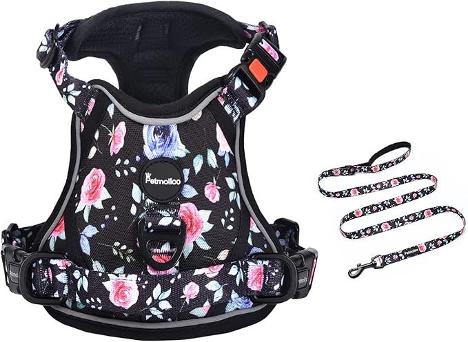 Petmolico XS Dog Harness and Leash Set, No Choke 4 Leash Attachments Easy Control Handle Soft Padded Reflective Vest for Small Dogs, Rose