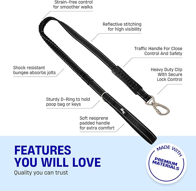 Dog Friendly Co. Bungee Dog Leash | Strain Free & Shock Resistant for Control | Neoprene Padded Handle, Heavy-Duty Carabiner Clip, and D-Ring | Black, Size Small