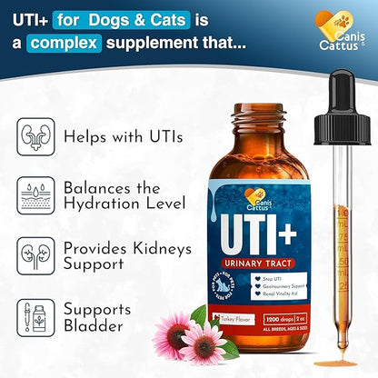 Canis&Cattus Urinary Tract Health Treatment for Dogs – Natural Herbal UTI Support Drops with Cranberry Extract - Promotes Bladder & Kidney Support - Turkey Flavor – 2 oz