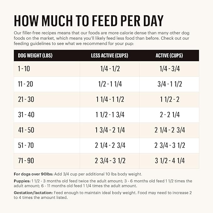 The Honest Kitchen Whole Food Clusters Grain Free Turkey Dry Dog Food, 1 lb Trial Pouch (Pack of 2)