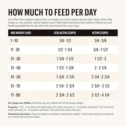 The Honest Kitchen Whole Food Clusters Grain Free Turkey Dry Dog Food, 1 lb Trial Pouch (Pack of 2)