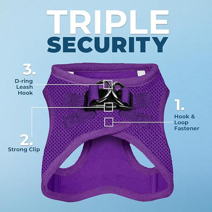 Best Pet Supplies Voyager Step-in Air All Weather Mesh Harness and Reflective Dog 5ft Leash Combo with Neoprene Handle, for Small, Medium and Large Breed Puppies - Set (Purple), Large