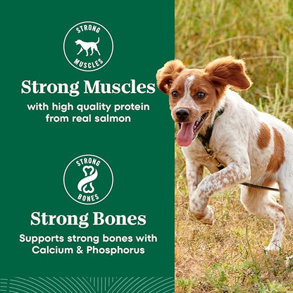 Nutro Natural Choice Adult Small Bites Dog Food, Salmon & Brown Rice Recipe, 4.5 lb. Bag