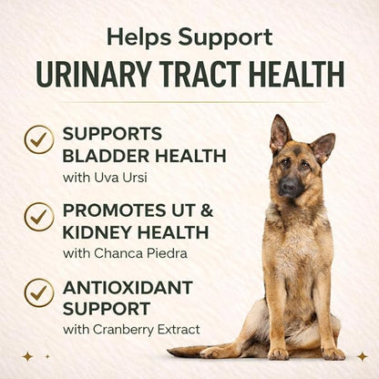 VetriScience Quick Action UT Health Chewable Tablets, UT Strength STAT Supplement for Dogs, Cranberry, Uva Ursi, and Chanca Piedra to Soothe Urinary Tract Discomfort, Smoke, 90 Count