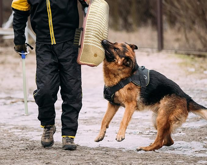 Dog Bite Training Set Professional Dog Bite Sleeve Arm with Whip Agitation Stick for Dogs Training Equipment Protection for Biting Playing Tugging Toy Interactive Pitbull German Shepherd Puppy K9