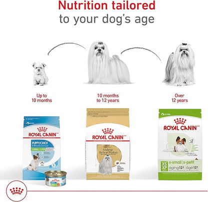 Royal Canin Breed Health Nutrition Maltese Adult Dry Dog Food, 2.5 lb Bag