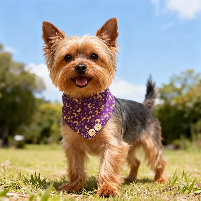 EXPAWLORER Dog Collar and Leash Set - Purple Star-Moon Dog Bow Tie and Dog Bandana Collar with Bell, Dog Leash Tangle Free, Adjustable Collars for Small Medium Large Dogs Cats, Holiday Ideal Gift, S