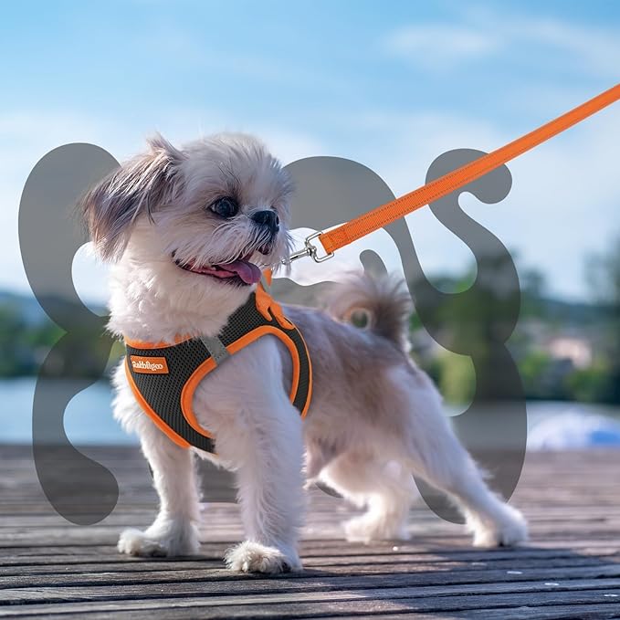 rabbitgoo Dog Harness Small Sized and Leash Set, Step-in Breathable Pet Harness, Soft Walking Reflective Puppy Vest for Small Dogs, Black & Orange, XS