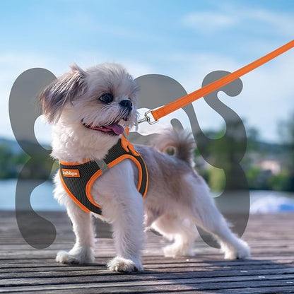 rabbitgoo Dog Harness Small Sized and Leash Set, Step-in Breathable Pet Harness, Soft Walking Reflective Puppy Vest for Small Dogs, Black & Orange, XS