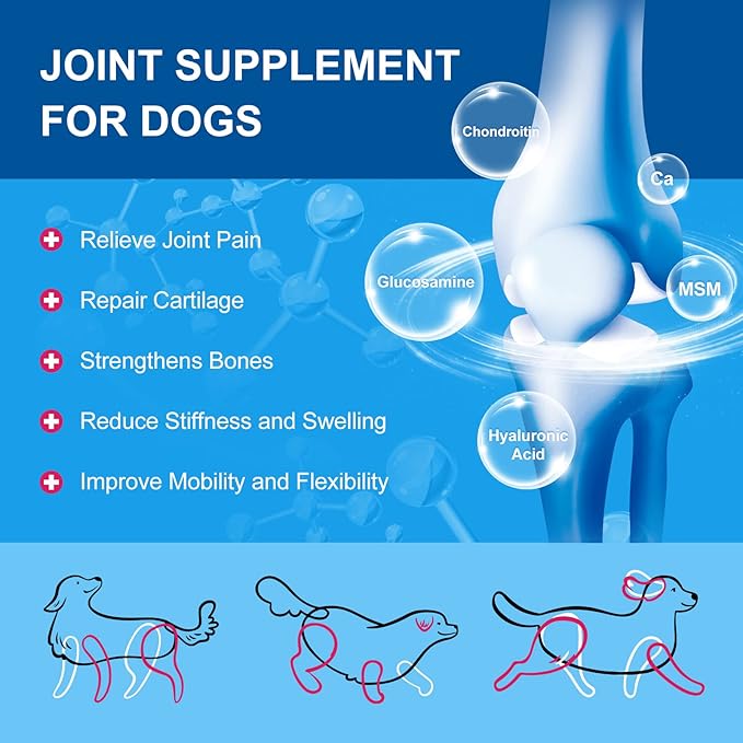 NATURE TARGET Dog Vitamins Powder, Probiotics & Digestive Enzymes for Gut Health, Glucosamine & Chondroitin & Omega 3, Complete Supplement for Homemade Dog Food, Joint & Skin & Immune Support