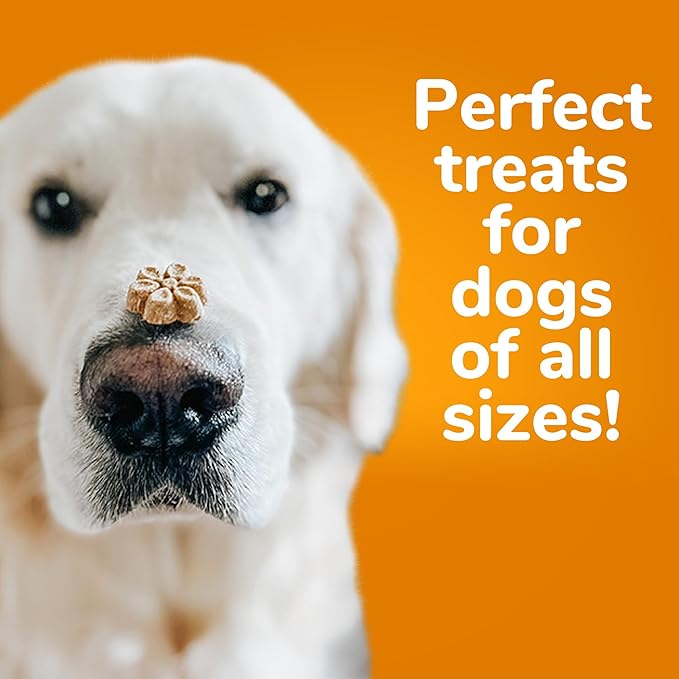 Fruitables Baked Dog Treats Pumpkin & Cranberry Wheat, Corn & Soy Free Healthy, Low Calorie 7 Ounces (Pack of 2)