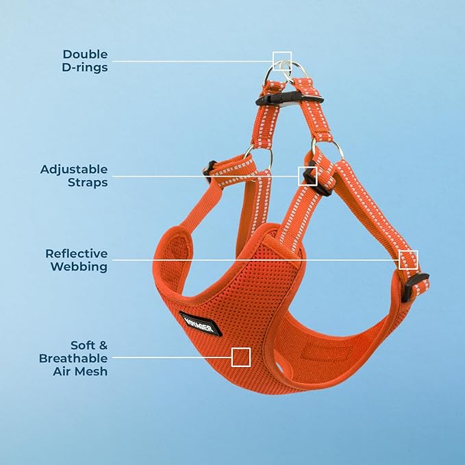 Best Pet Supplies Voyager Adjustable Step-in Flex Breathable Mesh Dog Harness for Small Medium Large Dogs (Orange), M