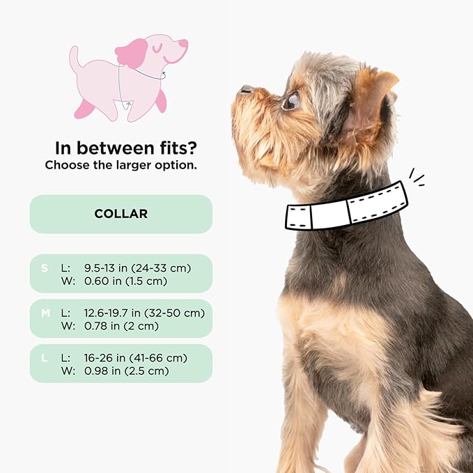 Sassy Woof Dog Collar Hello Kitty® Red Classic - L, Adjustable, Durable, Comfortable, Patented Design and Stylish Pet Accessories for Large Dogs
