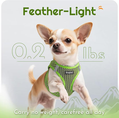 Eagloo Small Dog Harness and Leash Set, Step in Puppy Vest with Breathable Soft Mesh, Walking Reflective Pet Harness for Medium Small Dogs, Green, L
