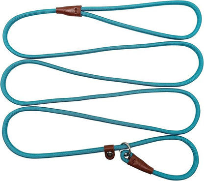 BTINESFUL 7FT Slip Lead Dog Leash, Strong Nylon Rope Leash, 1/4 inch Lightweight Dog Training Lead for Small Medium Large Dogs, Misty Blue