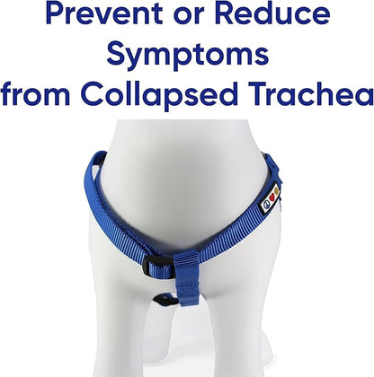 Pawtitas Value Bundle Set | Large Dog Harness + Large Dog Collar – Blue Set